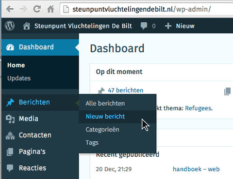 screenshot van WordPress dashboard